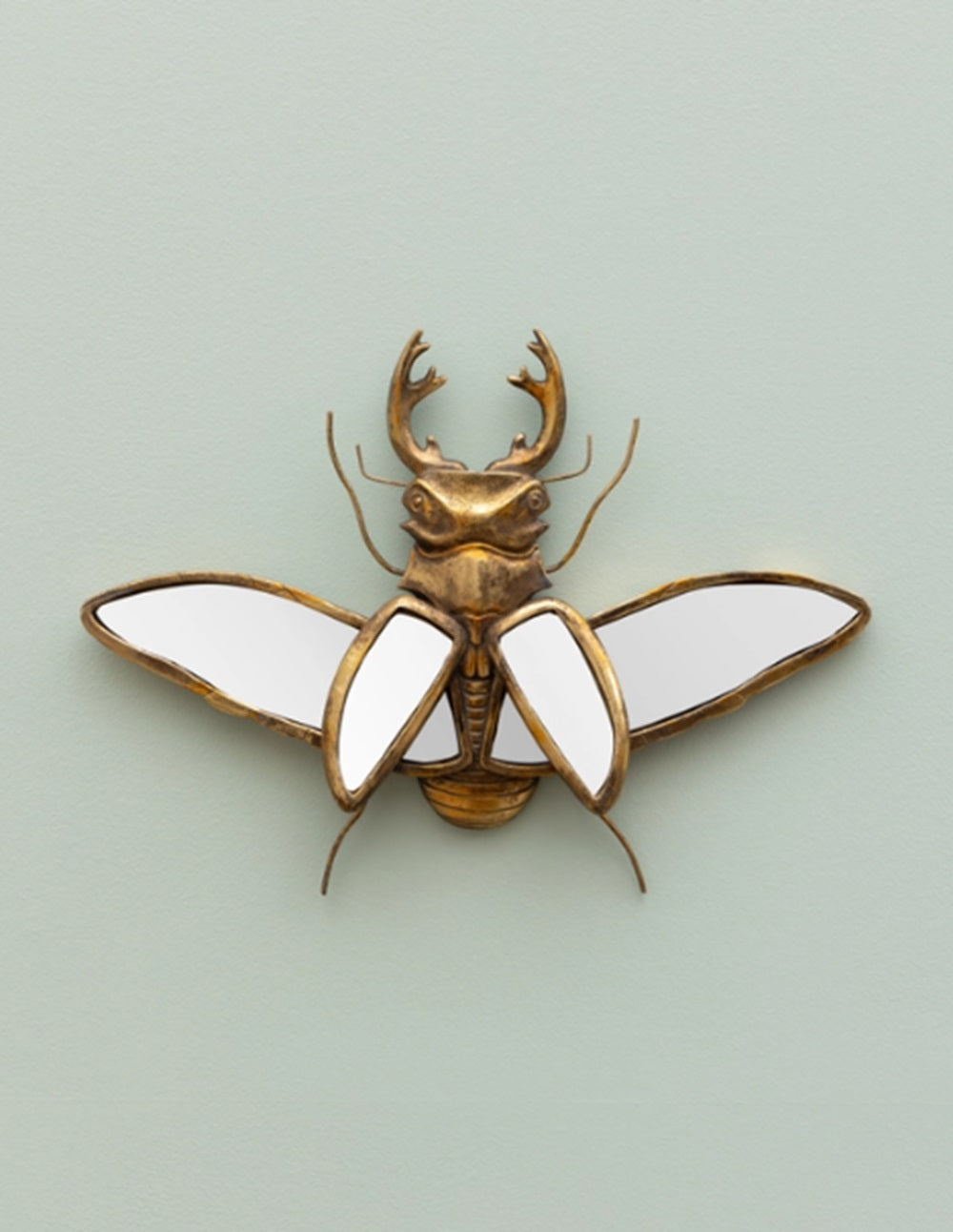 Safari Bug Stag Beetle Wall Mirror