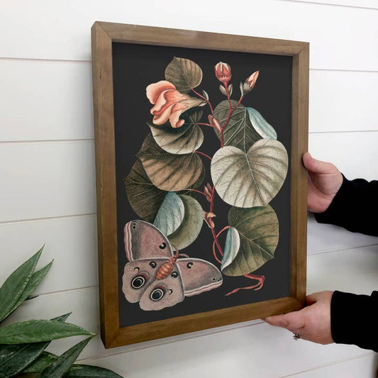 Dark Moth Botanical - Framed Nature Art - Large Wall Art 12x18