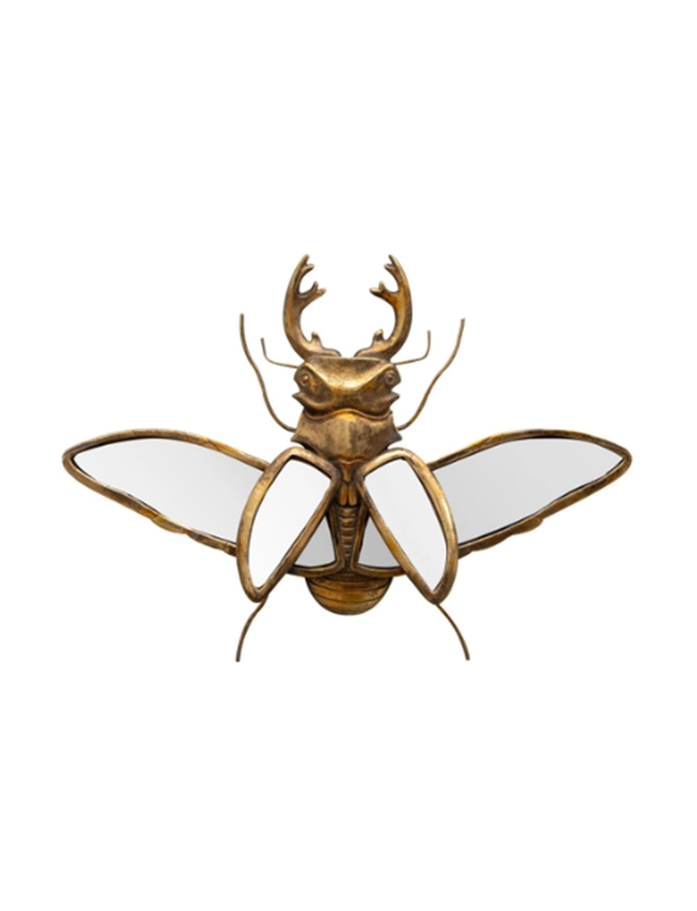 Safari Bug Stag Beetle Wall Mirror
